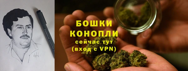 ПСИЛОЦИБИНОВЫЕ ГРИБЫ Бронницы