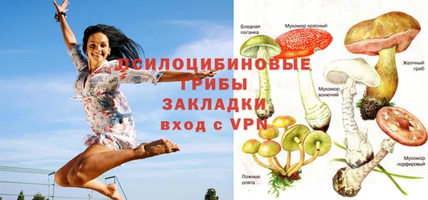 jwh Бородино