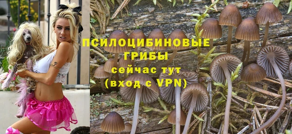 ПСИЛОЦИБИНОВЫЕ ГРИБЫ Бронницы