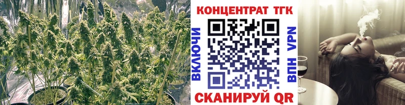 ТГК Wax  гидра ССЫЛКА  Новосокольники 