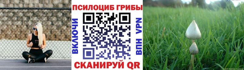 kraken tor  Новосокольники  Галлюциногенные грибы MAGIC MUSHROOMS 
