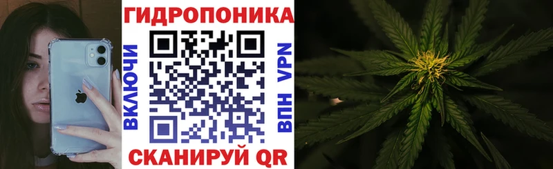 Бошки Шишки VHQ  продажа наркотиков  Новосокольники 
